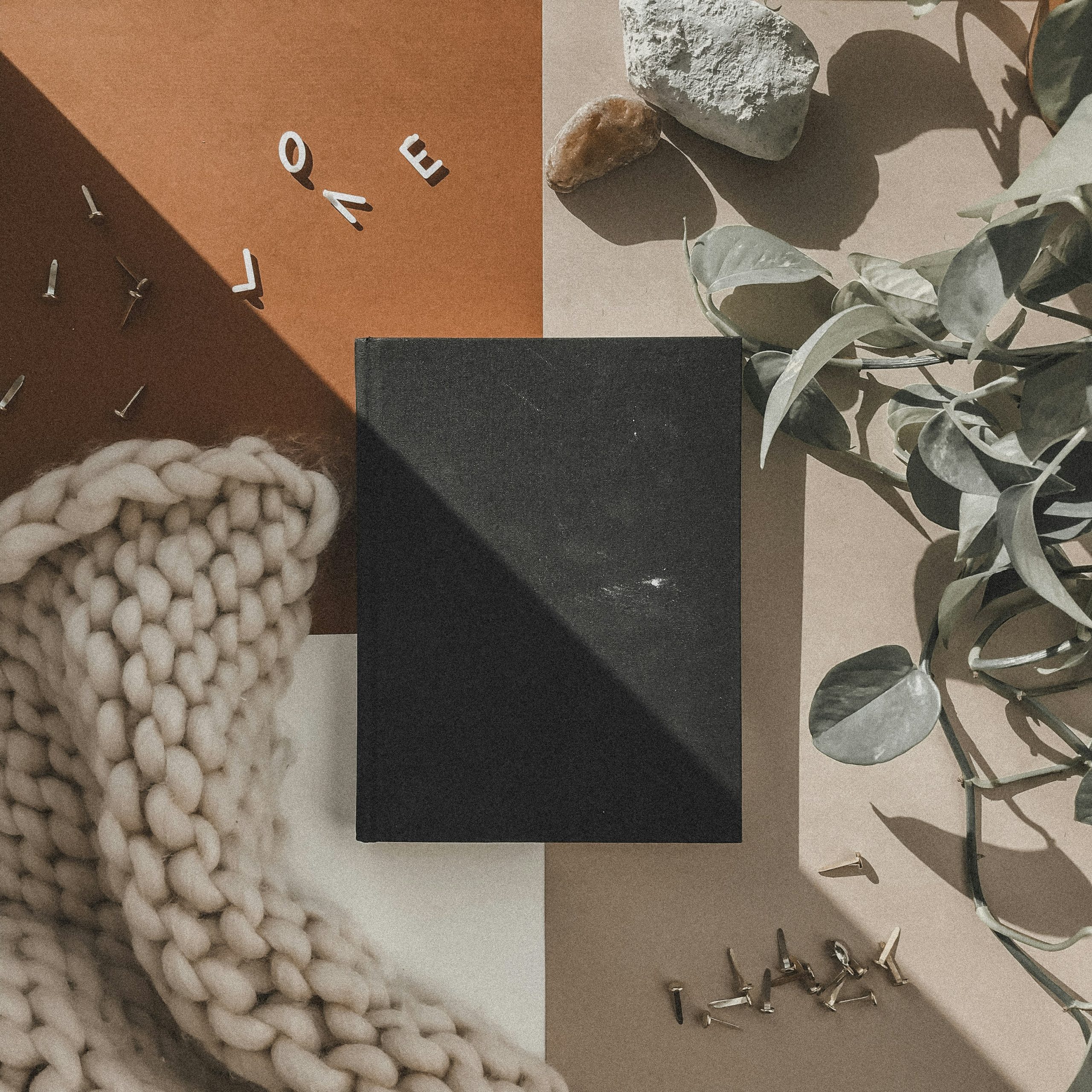 ashley-lewis-8OFlZLESduM-unsplash
