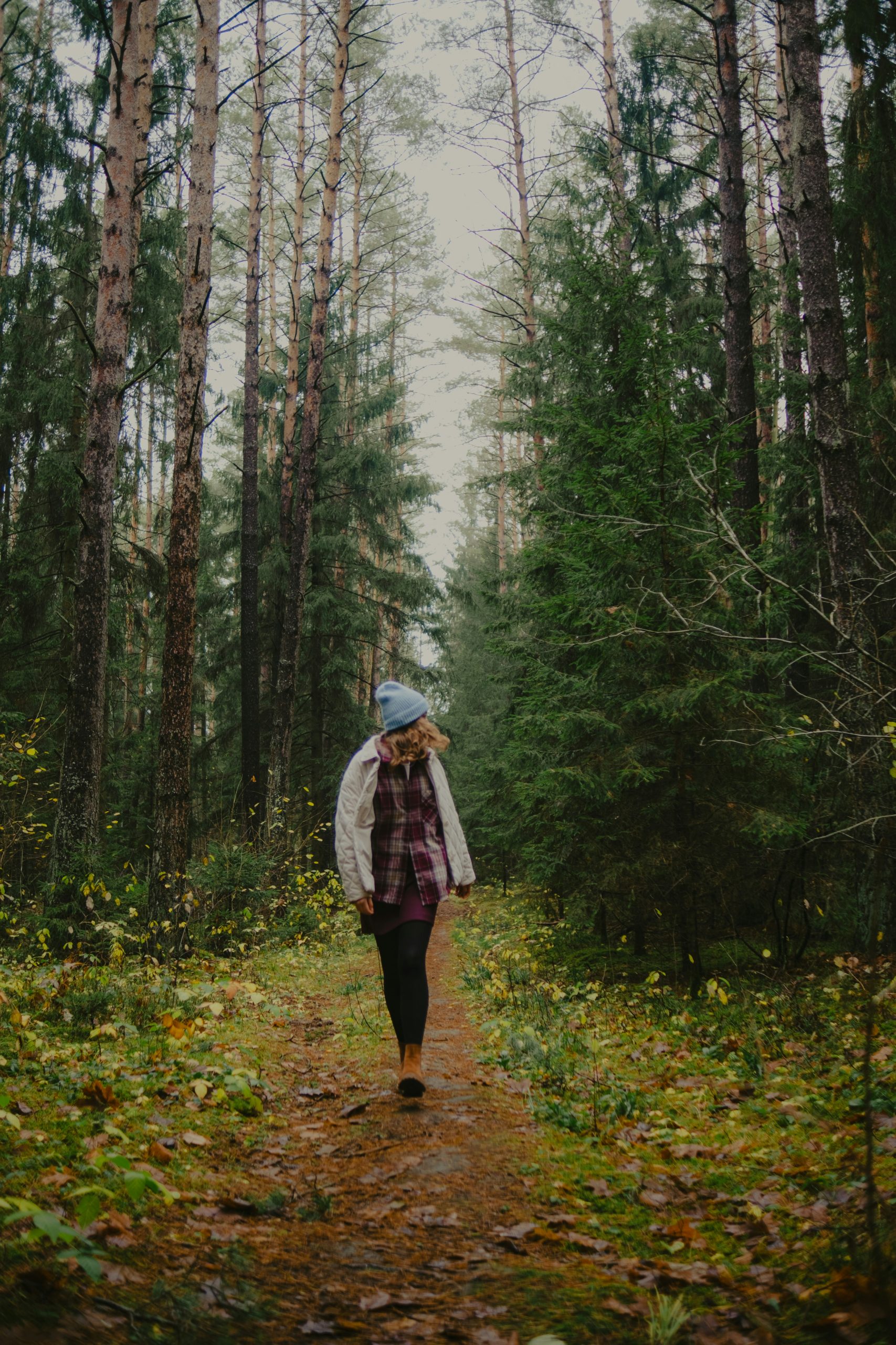 hanna-lazar-l6sHh1RxJfs-unsplash
