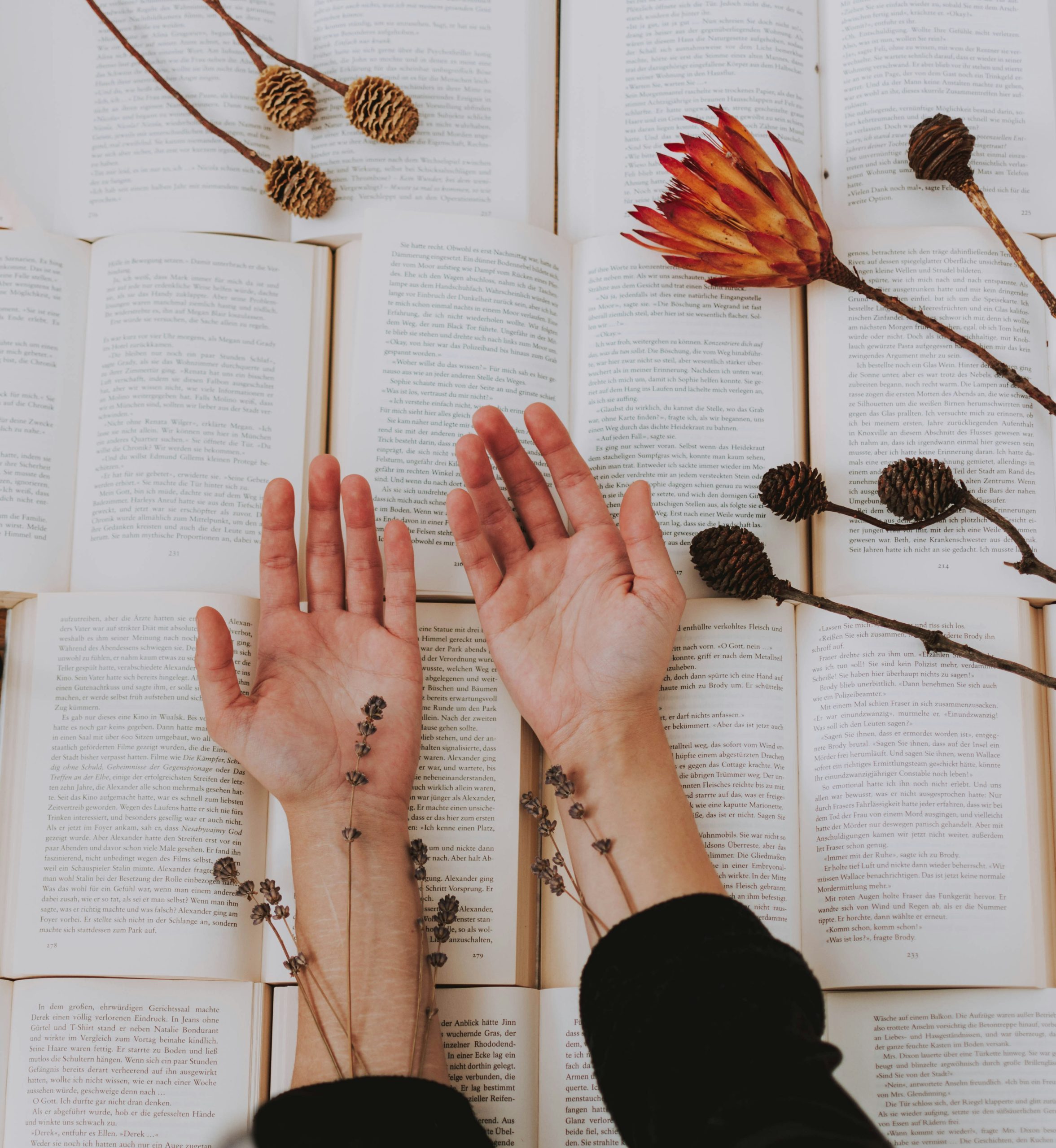 lilartsy-8xjk7Rjpvko-unsplash