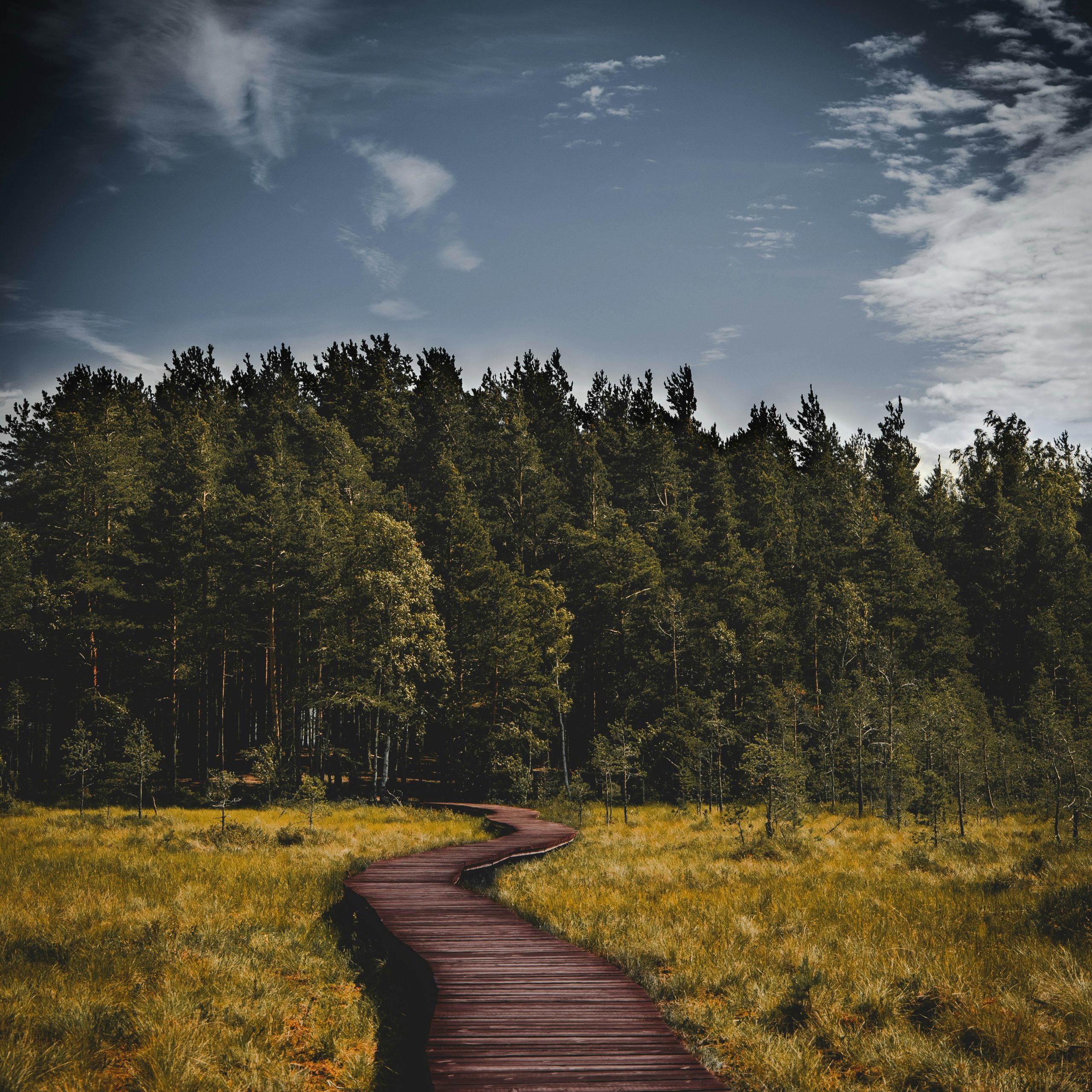 valerie-sidorova-Q8wNum_lYIk-unsplash